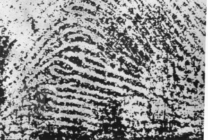 Farrow murder 1905 – thumbprint of Alfred Stratton used at his trial