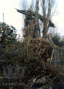 Storm Damage in Chinbrook Meadows
