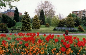 Ravensbourne Park