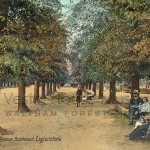 Bushwood The Avenue