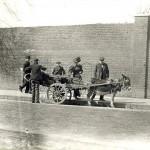 Donkey barrow 1901