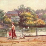 Green Man Pond