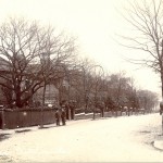 The Drive