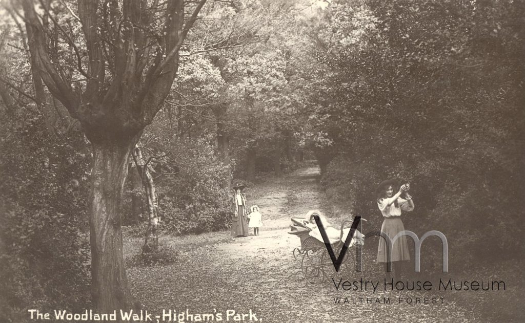 The Woodland Walk in Highams Park, c1905