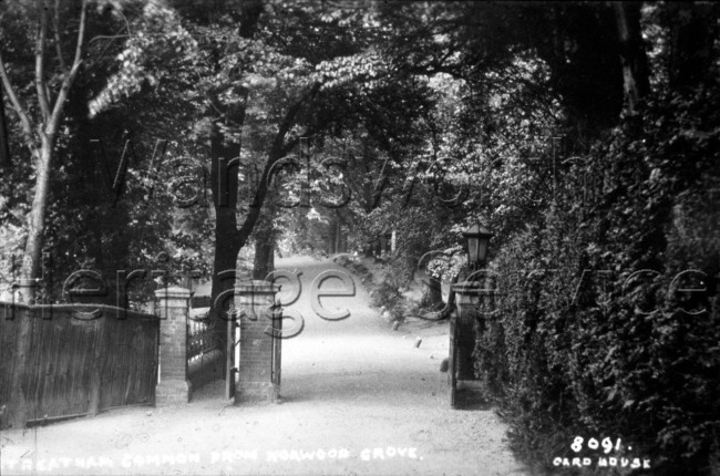 Streatham Common from Norwood Grove-  C1910