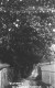 Streatham Common footpath-  C1910