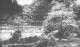 Tooting Bec Common-