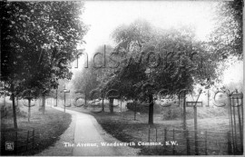 The Avenue, Wandsworth Common-  C1910