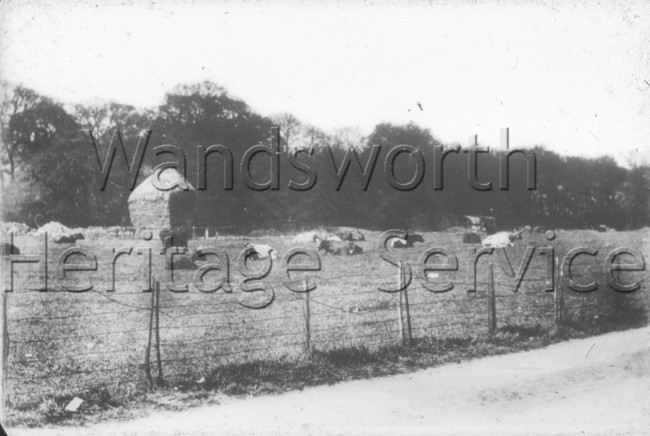 Wimbledon Park Road- 1909