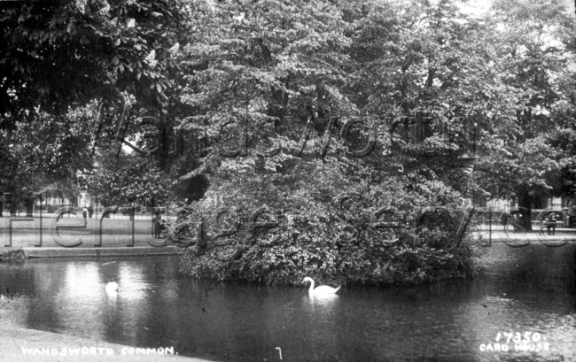 Three Island Pond, Wandsworth Common  –  C1900