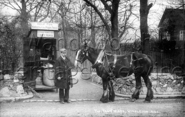 Trace Horse, at foot of Wimbledon Hill-