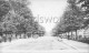 The Avenue, Clapham Common, –  C1900