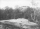 Wimbledon Common  –  C1961