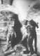 Mount Clare, Minstead Gardens  1950- 1950