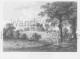 Mount Clare, Minstead Gardens- 1784