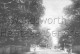 Putney Hill  –  C1895