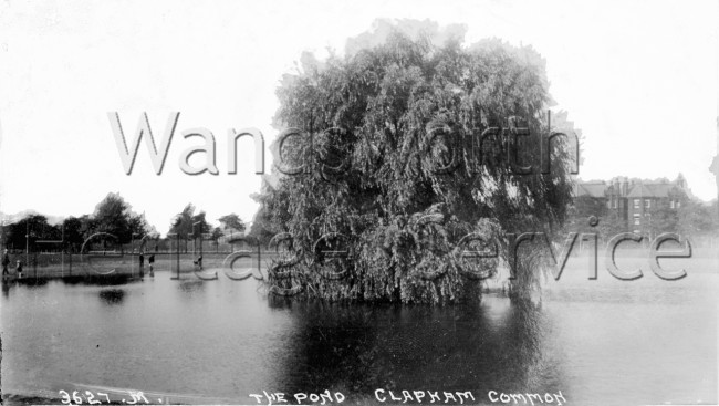 The pond, Clapham Common