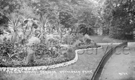 The sub-tropical gardens, Battersea Park