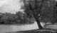 Tooting Common