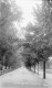 Tooting Bec Common