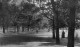 View of a park with horse rider